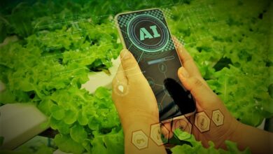 Quantum AI App in Agriculture Nurturing the Farms of Tomorrow